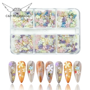 CY Petites Fleurs en Résine pour Décoration d'Ongles 3D Kit d'Accessoires de Manucure - Product Image 5