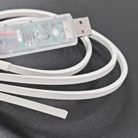 Bande lumineuse LED néon flexible en silicone ultra-fine 4*3mm DC5V USB RGBIC WS2812 IP67 étanche et adressable pour la décoration de voiture DIY