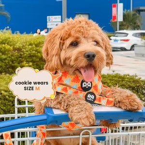 2025 nuevo conjunto de arnés de lujo personalizado para perros, fabricantes ajustables con logotipo personalizado, arnés para perros sin tirones, correa para perros