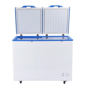 ตู้แช่แข็งขนาด 100L 150L 200L 250L 300L 350L ใช้พลังงานแสงอาทิตย์สำหรับพื้นที่นอกระบบไฟฟ้า พร้อมแบตเตอรี่สำรอง ตัวควบคุมพลังงานแสงอาทิตย์เป็นตัวเลือกเสริม - Product Image 6