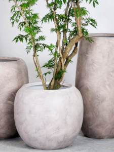 Macetero Alto de Magnesio Estilo Nórdico para Interiores/Exteriores, para Árboles y Plantas de Salón - Product Image 5