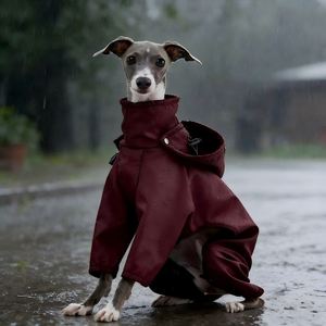 Suministros para Mascotas, Traje Impermeable Personalizado para Perros, Whippet, Greyhound, <span class=keywords><strong>Chubasquero</strong></span> Deportivo para Perros - Product Image 1