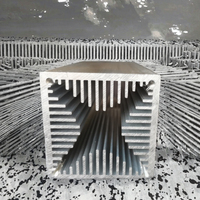 Dissipateur thermique pour amplificateur ZP MT250201 Série 6000 100W, profilés en alliage d'aluminium sur mesure, usage industriel, tempérage T3-T8, tolérance 1%, Vietnam
