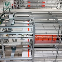 Systèmes d'élevage de poulets pondeuses en cage libre en acier galvanisé avec équipement d'alimentation automatique et de retrait des excréments
