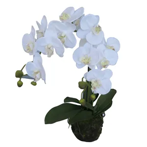 Супер большая искусственная Орхидея Фаленопсис по отличной цене, искусственные орхидеи