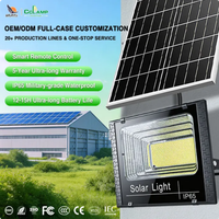 Nouveau modèle privé Projecteur solaire à LED ABS pour l'extérieur Éclairage de paysage routier certifié IP65 étanche et ROHS