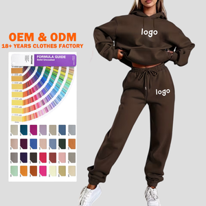 Ropa Deportiva con Logotipo Personalizado, Conjunto Deportivo de Felpa para Entrenamiento, Sudadera y Pantalones Deportivos de Tallas Grandes para Mujer - Product Image 1