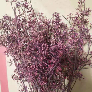 Petit Millet Fruit Fleurs Séchées Préservées Artisanat Maison Cadeau Composition Florale <span class=keywords><strong>Bouquet</strong></span> de Fleurs Fête des Mères Noël - Product Image 6