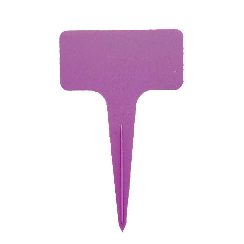 Pourpre