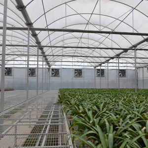 MYXL 저가 지적인 상업적인 온실 농업 녹색 집 플라스틱 금속 구조