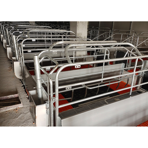 ISO Chất lượng cao hot mạ kẽm lợn farrowing bút cho lợn lồng nhà với tất cả các phụ kiện để bán - Product Image 2