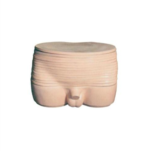 ADA <b>Medical</b> Science Male Pelvic Transverse Fault Anatomical <b>Model</b> and Male Torso Vertical Slice Anatomical <b>Model</b> for Teaching - Product Image 2