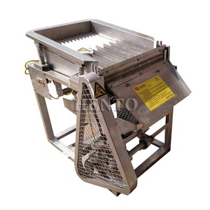 Éplucheuse automatique de graines de <span class=keywords><strong>soja</strong></span> vertes / Machine à éplucher les haricots / Machine à retirer les coquilles d'edamame - Product Image 3