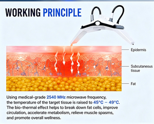 Professional Standing Slimming Fat <b>Burning</b> and Firming Massage <b>for</b> Effective Fat Reduction - Product Image 3