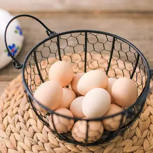 Cesta de metal para armazenamento de ovos, organizador redondo com alça para frutas e alimentos, ideal para transportar e coletar