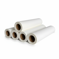 Offre Spéciale HyperTransprint – Film de Transfert Thermique DTF Double Face 60 cm de Large A3/A4 en PET Scintillant pour Impression Numérique Haute Qualité