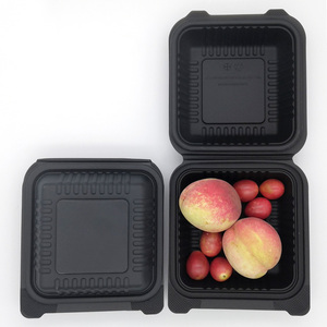 100% biodegradable compostable large bioplastic disposable plate packing box