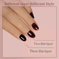FZANEST Ambre gel vernis collection tortue gel vernis ensemble salon utiliser bas quantité minimale de commande vernis à ongles fournisseur produits pour les ongles