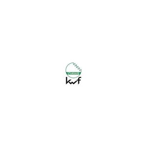 HALDER Martillo divisor 4100 G longitud del mango 850 mm mango de nogal - Product Image 2