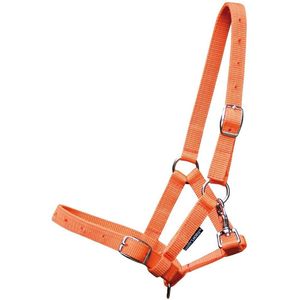 Cabestro suave para caballo con características ajustables para un uso diario cómodo y actividades de cuidado equino - Product Image 5