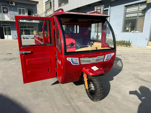 Hot vận chuyển hàng hóa động cơ ba bánh chở hàng xăng 3 bánh xe ba bánh xe gắn máy - Product Image 2