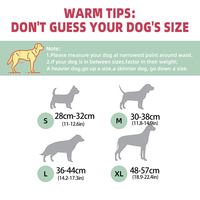 Bandes abdominales réutilisables pour chiens mâles pour Halloween, couches absorbantes lavables pour l'incontinence