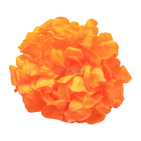Rozen Eeuwige Rozenblaadjes Voor Altijd Rozen Voor Bruiloft Confetti Deco Geconserveerde Planten En Bloemen Bloemblad Biologisch Afbreekbaar Groot Formaat Y