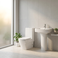 Ensemble WC monobloc élégant avec chasse d'eau double, installation au sol, incluant cuvette en céramique blanche