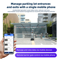 Servidor de Reconocimiento de Matrículas para el Extranjero, Computación de Ingeniería para Sistemas Inteligentes de Gestión de Estacionamientos LPR/ALPR/ANPR