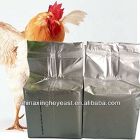 Alimentation animale : Poudre d'acides aminés de qualité alimentaire riche en protéines pour le bétail et les poulets, mélasse de betterave sucrière 20-30% pour une réduction des coûts d'alimentation