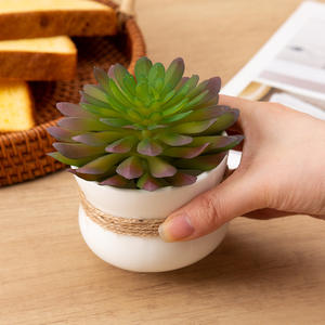 Maceta blanca pequeña de cerámica para decoración de plantas de interior de escritorio, artículo de regalo DB2874 - Product Image 3