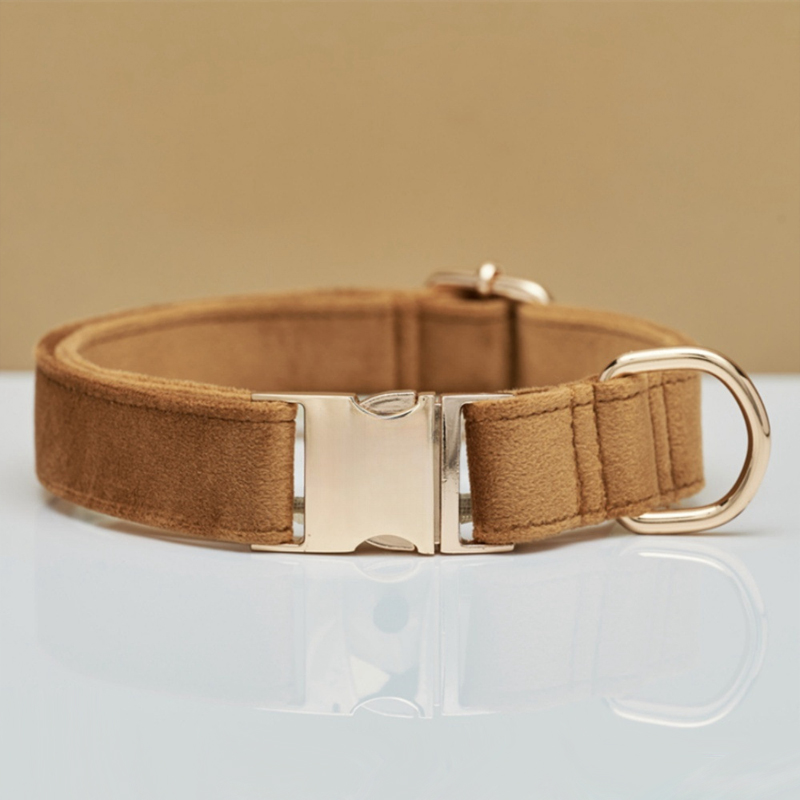Collar Café