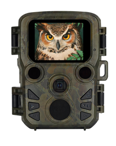 Portable minuscule petite caméra <span class=keywords><strong>de</strong></span> piste cerf Cam <span class=keywords><strong>chasse</strong></span> caméra infrarouge <span class=keywords><strong>pour</strong></span> la forêt sécurité à domicile <span class=keywords><strong>Surveillance</strong></span> intérieure <span class=keywords><strong>surveillance</strong></span> des animaux - Product Image 1