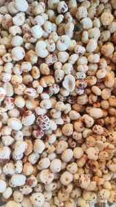 Nueces de Makhana Crudas, 3 Sutas, Tamaño Pequeño de 9 a 10 mm, Makhana India Sin Tostar - Product Image 2