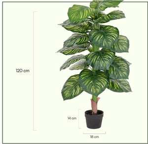 Cây cọ nhân tạo chống UV giả thực vật ficus lớn nhân tạo Cây Chuối thường xanh nhiệt đới Bonsai rừng cây nhân tạo - Product Image 2