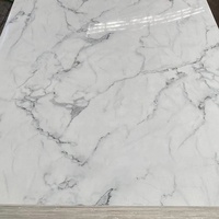 Panneau mural en PVC marbré personnalisé de 1,22*2,44 m pour la décoration intérieure