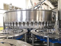 Ligne de production entièrement automatisée CGF14-12-5 pour le rinçage, le remplissage et le bouchage de bouteilles d'eau de source à 12 têtes en plastique