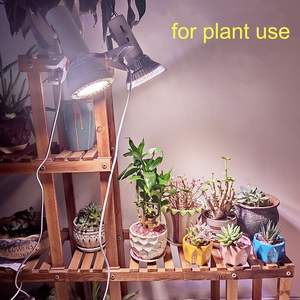 <span class=keywords><strong>Support</strong></span> de <span class=keywords><strong>Lampe</strong></span> pour Reptiles à Vente Directe Usine, Culot E27, Style Vis, pour Cylindre Chauffant de <span class=keywords><strong>Tortue</strong></span>, avec Interrupteur et Clip de Fixation, en Matériau PBT, AC - Product Image 6