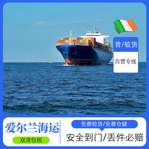 Sea Whale International Freight Forwarding LCL Express Shipping Chine vers la Jordanie Service de ligne dédiée - Product Image 3