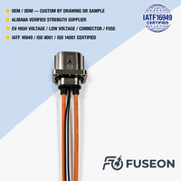 Harness Kabel Tegangan Tinggi Khusus untuk Bus Listrik 600V Tembaga Berpenampang Besar Terlindung Pabrik OEM