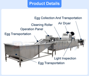 Thương mại tự động làm sạch trứng Máy giặt trang trại sử dụng quy mô lớn sạch ngỗng vịt trứng công nghiệp giá máy giặt - Product Image 5