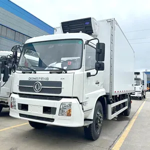 Diesel Frigorífico Truck 10Ton luz Refrigerado Box Van Refrigerador Freezer Truck para venda áfrica do sul