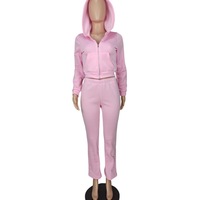 Ensemble de salon deux pièces en velours pour femme, veste à capuche zippée et pantalon taille haute, tenue décontractée unie assortie S M L XL