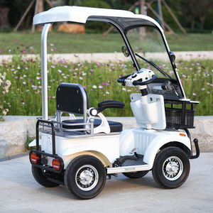 Двигатель OEM 650 Вт, бесщеточный, с питанием от батареи, инвалидный Электрический четырехколесный мобильный скутер с крышей - Product Image 3