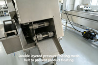 Machine de friture industrielle à bande continue, contrôle automatique de la température, roulement de moteur, chauffage au gaz/électrique, haute efficacité