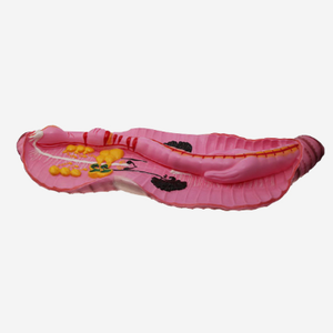 Gelsonlab HSBM-417 Schistosome In Copula modello - Product Image 4