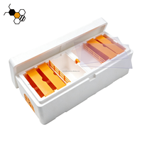 Hochfeste EPS Doppel-Bienenköniginnen-Zuchtbox, Mini-Bienenstock mit 4 Rahmen, Bienenzucht-Nukleusbaukasten für die Imkerei