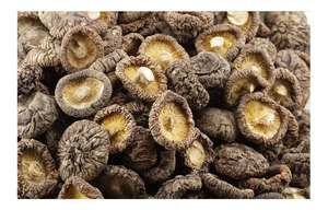 Promotion diverses utilisation Durable des jambes de Shiitake corps fruité extrait de <span class=keywords><strong>champignon</strong></span> de Shiitake biologique - Product Image 3