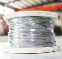 Fabrication de câbles en acier inoxydable recouverts de PVC 1*7/1*19/7*7/7*19