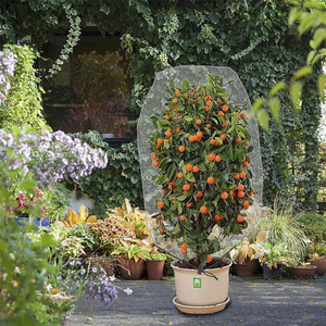 ナイロン防虫ネット温室ネット果樹保護カバーバッグ防虫ネットカバー - Product Image 6